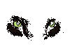 Panther eyes