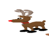 Rudolph Pet Reindeer