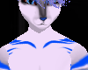 Atlas Skin (M)