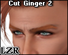 Cut Ginger 2