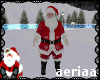 *xmas*skating with santa