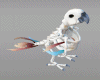 llzM Skeleton Parrot M/F