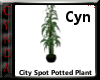 City Spot Potted Plant