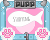 🐾 Studying Fish HS