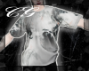 𒅆Juno Shirt