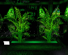 Neon Green Plant