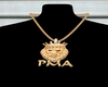 Razvi pma lion chain