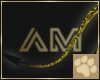 ~AM~ Lahar Tail v4