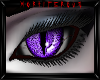 Purple Snake Eye M/F