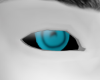 Blue demon eyes M