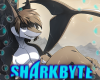 S| Anthro Shark Boy 2