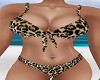 Wild Cat Bikini