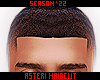 †. Asteri Hair 95