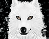 Elh White Wolf ☽