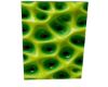 C// SLIME STAR