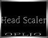 Head - Scaler
