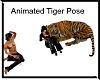 Animated Tiger Pose only