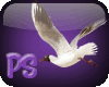 ~PS~Seagulls 2 EN