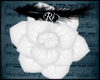 lRil White  Flower