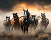 WildHorse AnimatedStage