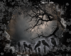 ~A Murder of Crows~