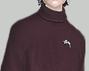 Maroon sweatshirt