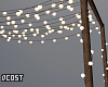 Outdoor Hanging Lights