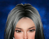 A/ Black Grey Hair