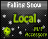 Falling Snow Personal M
