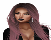 polly 01