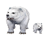 FAMILIE ICEBEAR