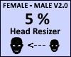 Head Scaler 5% V2.0