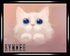 + Kitten Framed V4
