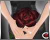 *SC-Blood Red Rose