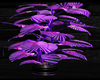 Purple Plant