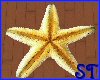  !ST! Starfish