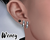Wn. Silver earrings R
