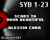 Scars To Your Beautiful