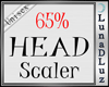 Lu)HEAD SCALER 65%