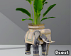 Elephant Plant