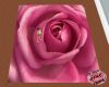 Perfect Pink Rose Rug