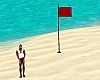  Red Warning Beach Flag