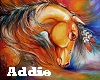 Addie Picture (1) 