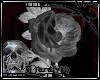 (D)Ghostly Rose