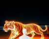 Fire tiger background