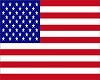 [S] American Flag