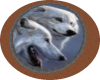 Twin Wolves Rug