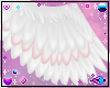Blanc | Angel wings