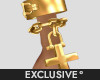 fm. Brace V1 G-L