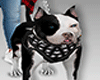 DOG Pitbull avatar(W.t)